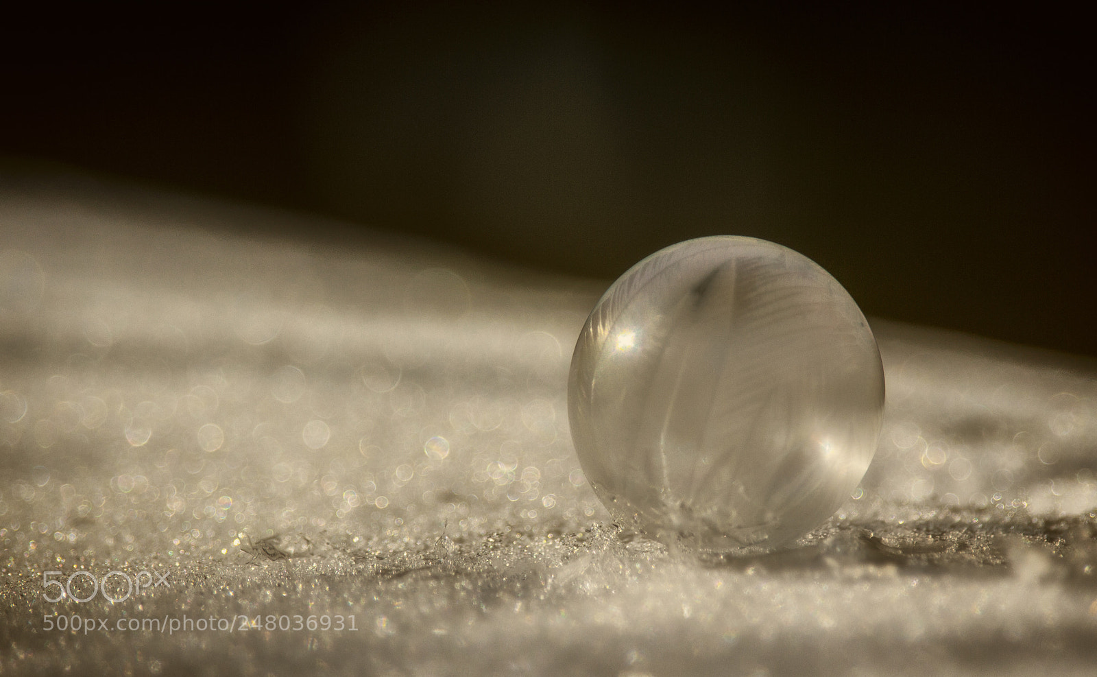 Canon EOS 700D (EOS Rebel T5i / EOS Kiss X7i) sample photo. Frozen soapbubble photography