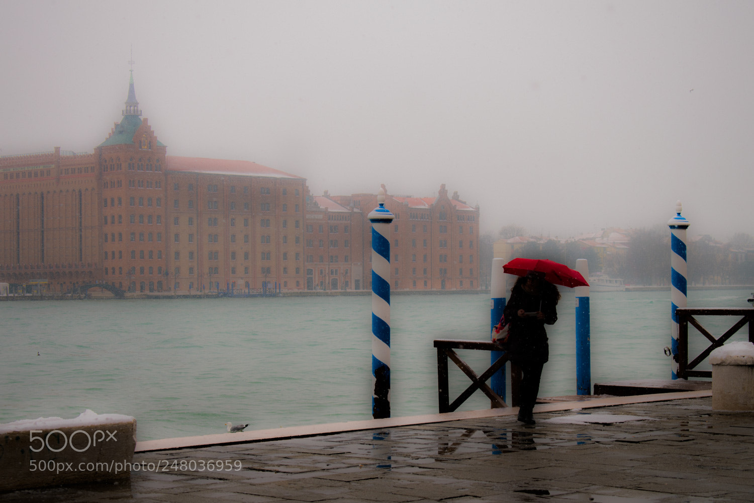 Nikon D5500 sample photo. Neve a venezia... photography