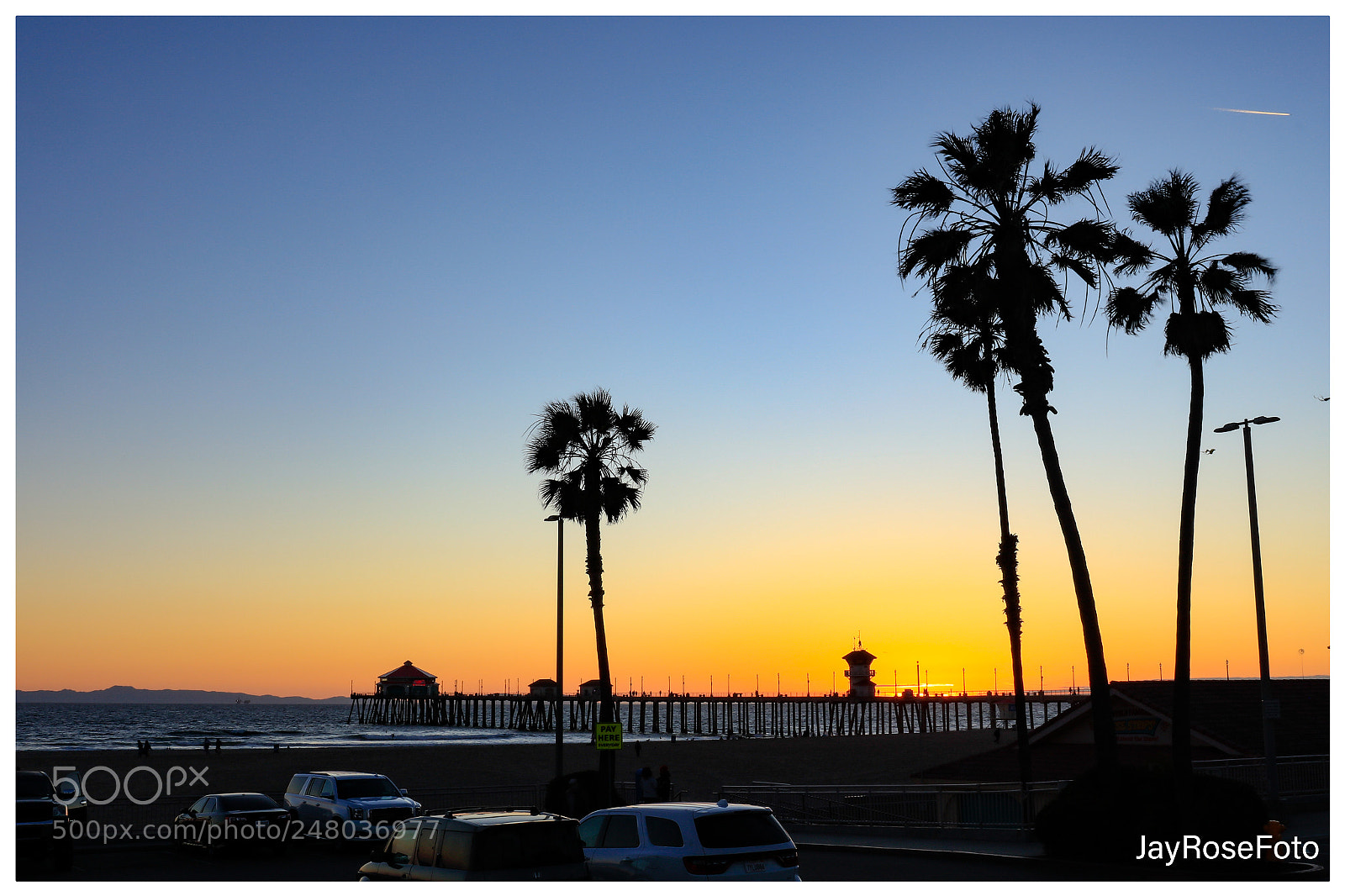 Canon EOS 5DS R sample photo. Couple palm tree couples photography