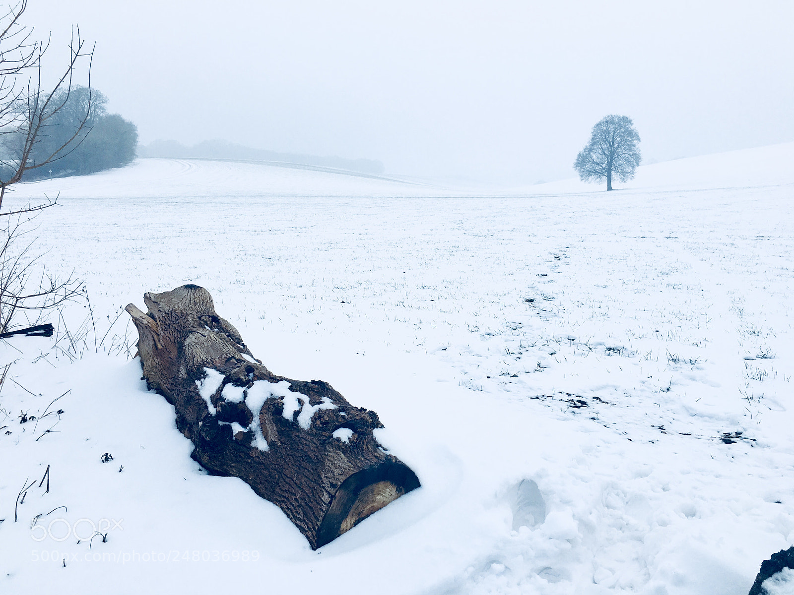 Apple iPhone 6s Plus sample photo. Snowy photography