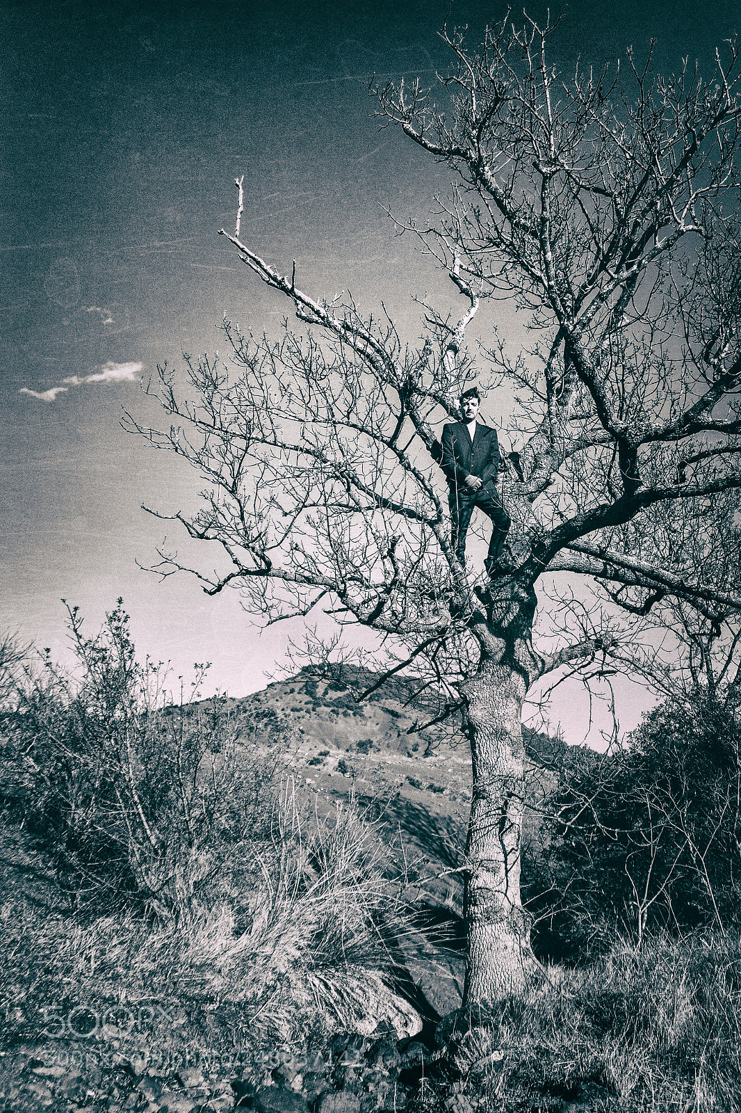 Nikon D7100 sample photo. L'arbre inexplicable photography