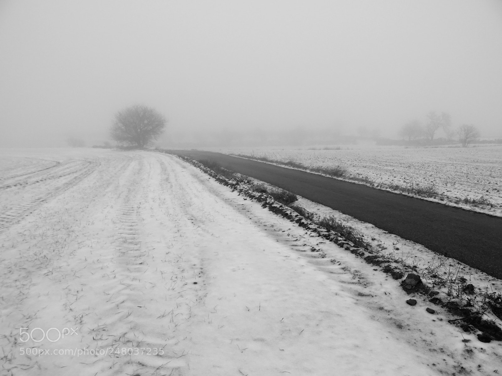 Sony DSC-HX60V sample photo. "el camino " photography