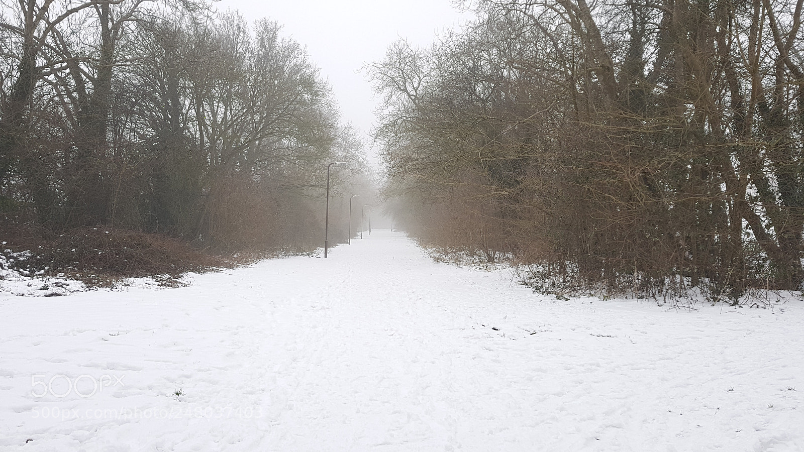 Samsung Galaxy S8 sample photo. Snow photography
