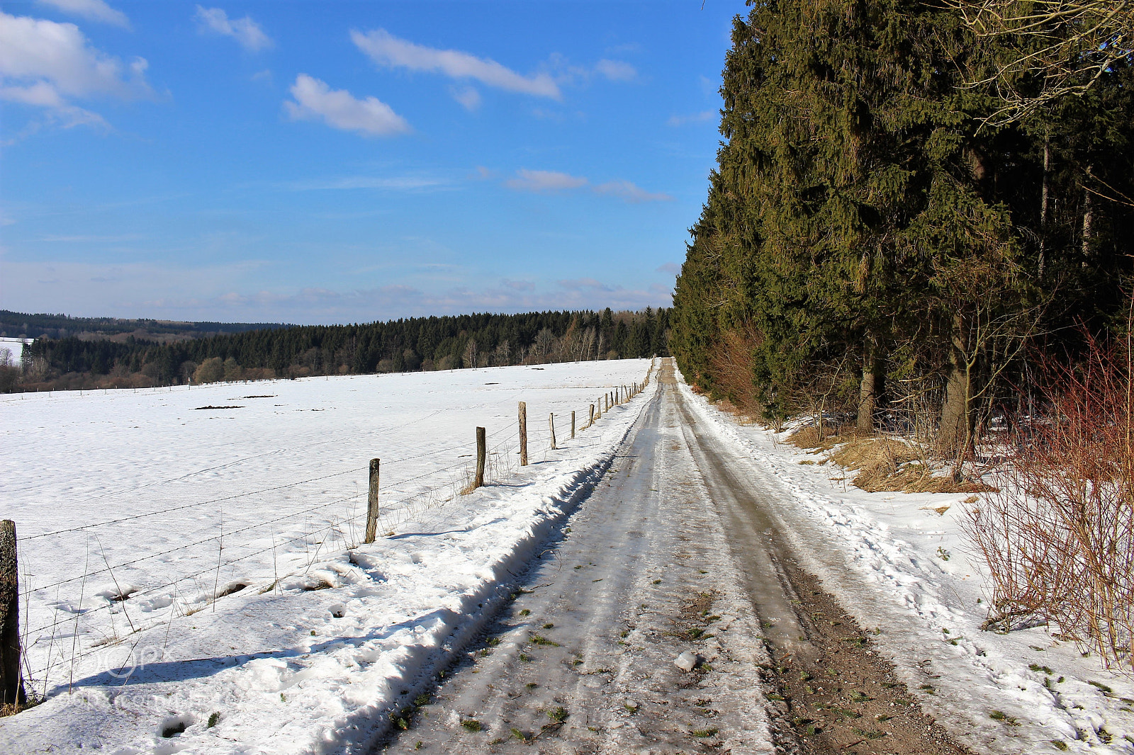 Canon EOS 700D (EOS Rebel T5i / EOS Kiss X7i) sample photo. It's cold outside photography