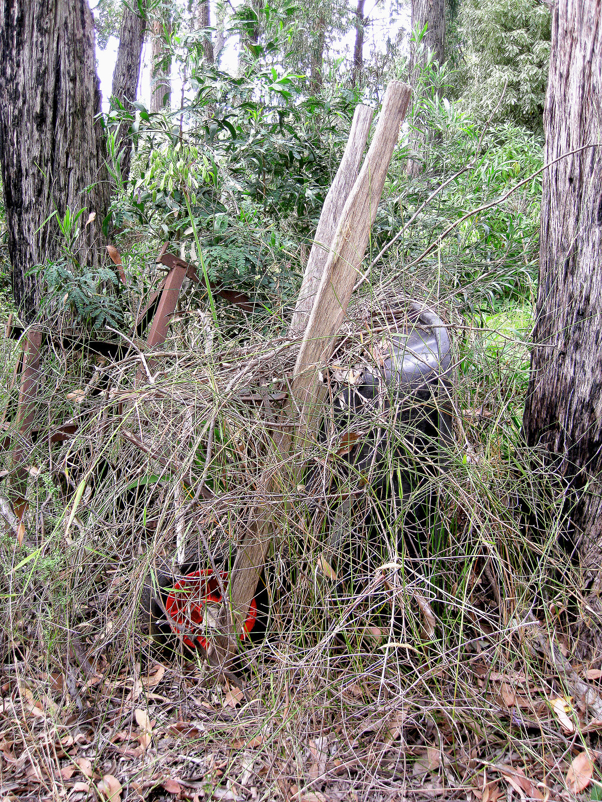 Canon DIGITAL IXUS 960 IS sample photo. Overgrown wheelbarrow photography
