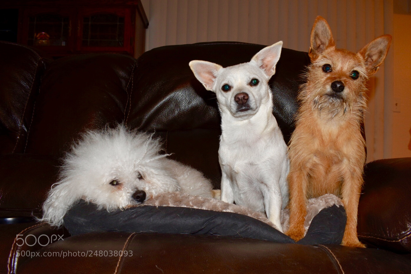 Nikon D3400 sample photo. Look at the camera photography