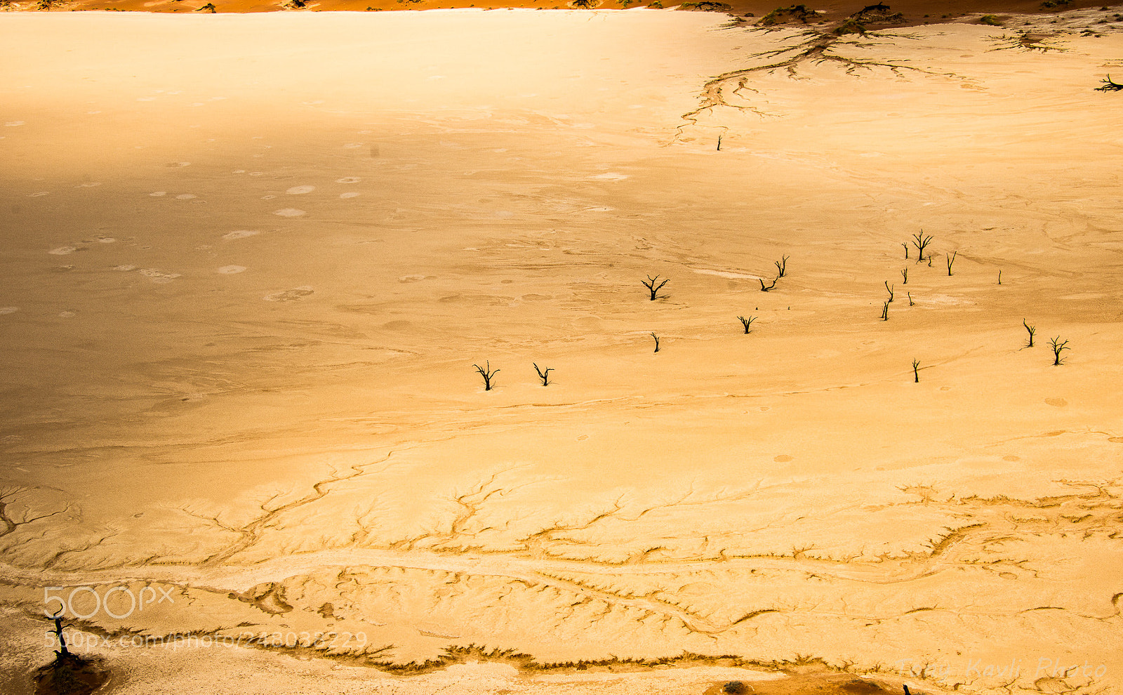 Nikon D800E sample photo. Dead vlei from above photography