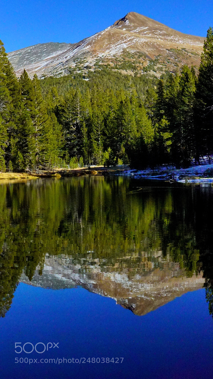 Sony a7S II sample photo. Reflections photography
