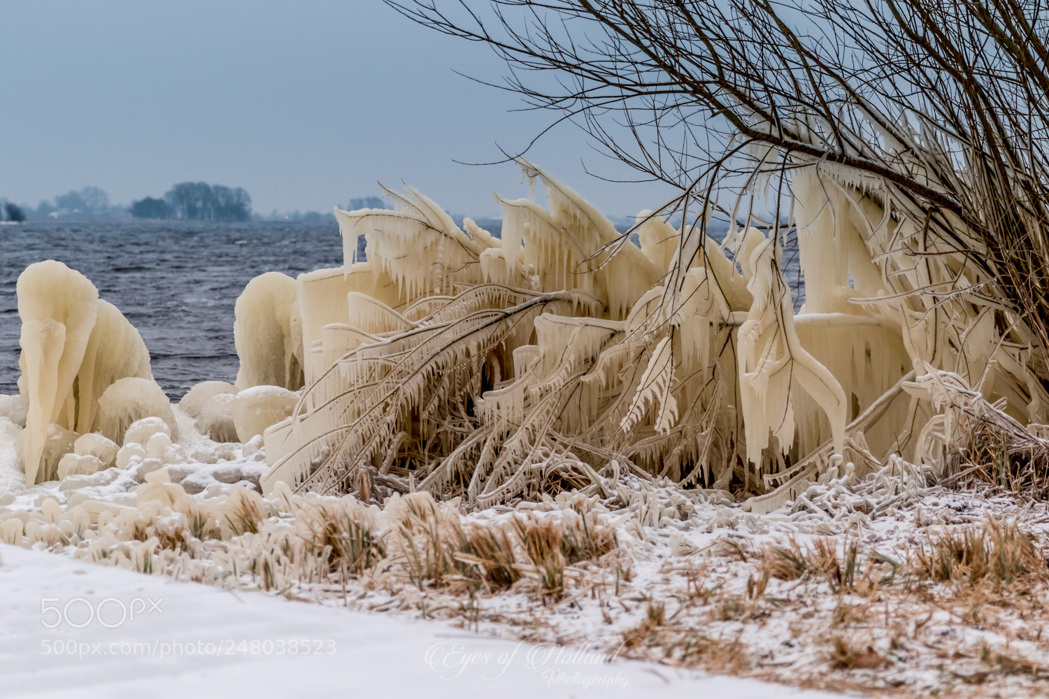 Canon EOS 7D Mark II sample photo. Cold morning photography