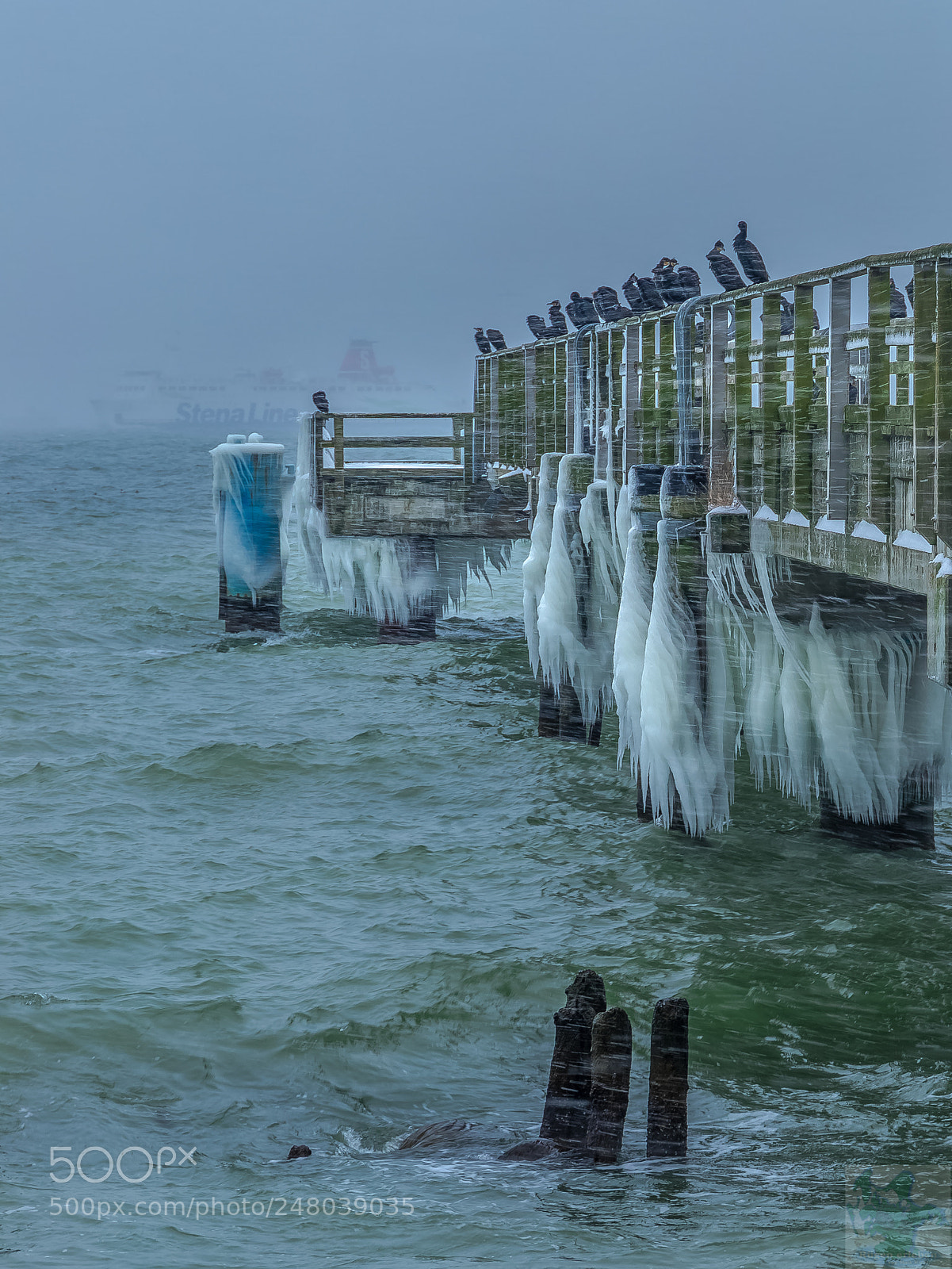 Canon EOS 6D Mark II sample photo. Sea brigde sassnitz photography