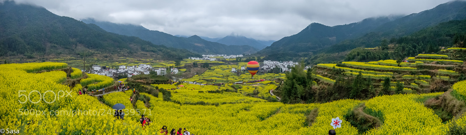 Fujifilm X-Pro2 sample photo. 婺源油菜花 photography