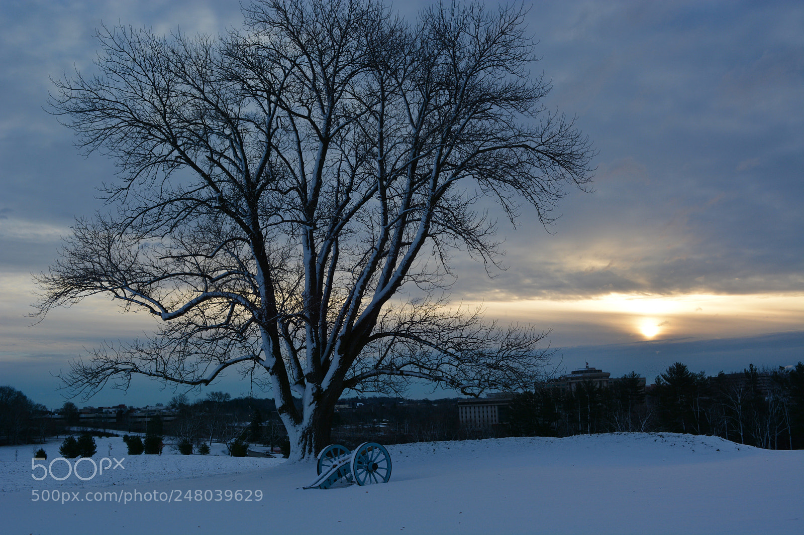 Nikon D7100 sample photo. Untitled photography