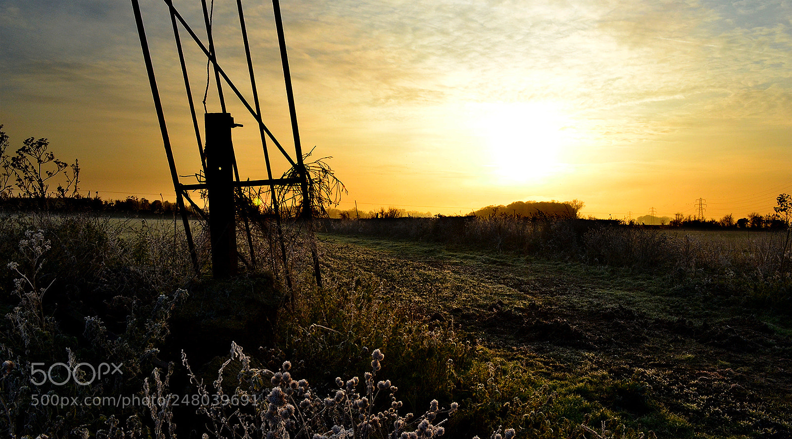 Nikon D3100 sample photo. Gated sunset photography