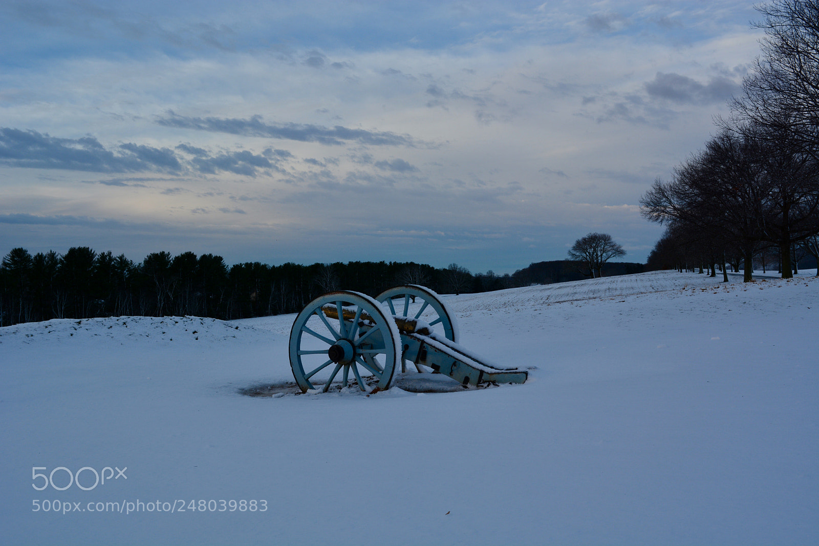 Nikon D7100 sample photo. Untitled photography