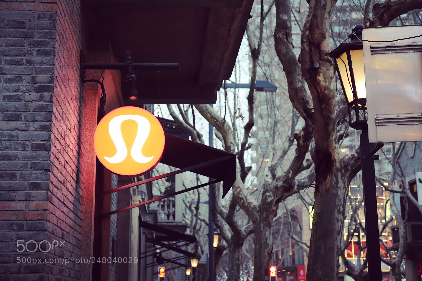 Canon EOS 6D Mark II sample photo. Untitled photography
