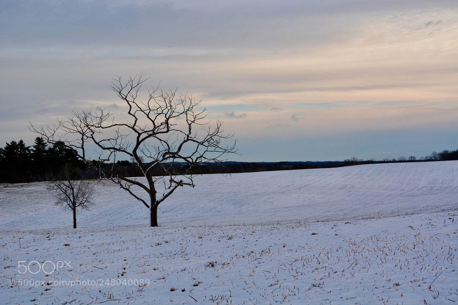 Nikon D7100 sample photo. Untitled photography