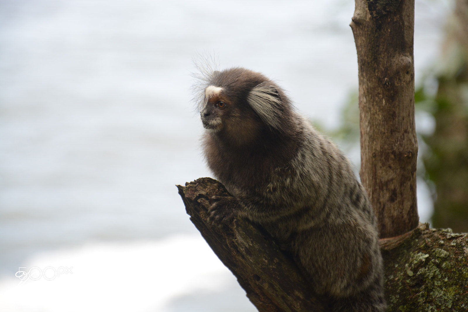 Nikon D7100 sample photo. Untitled photography