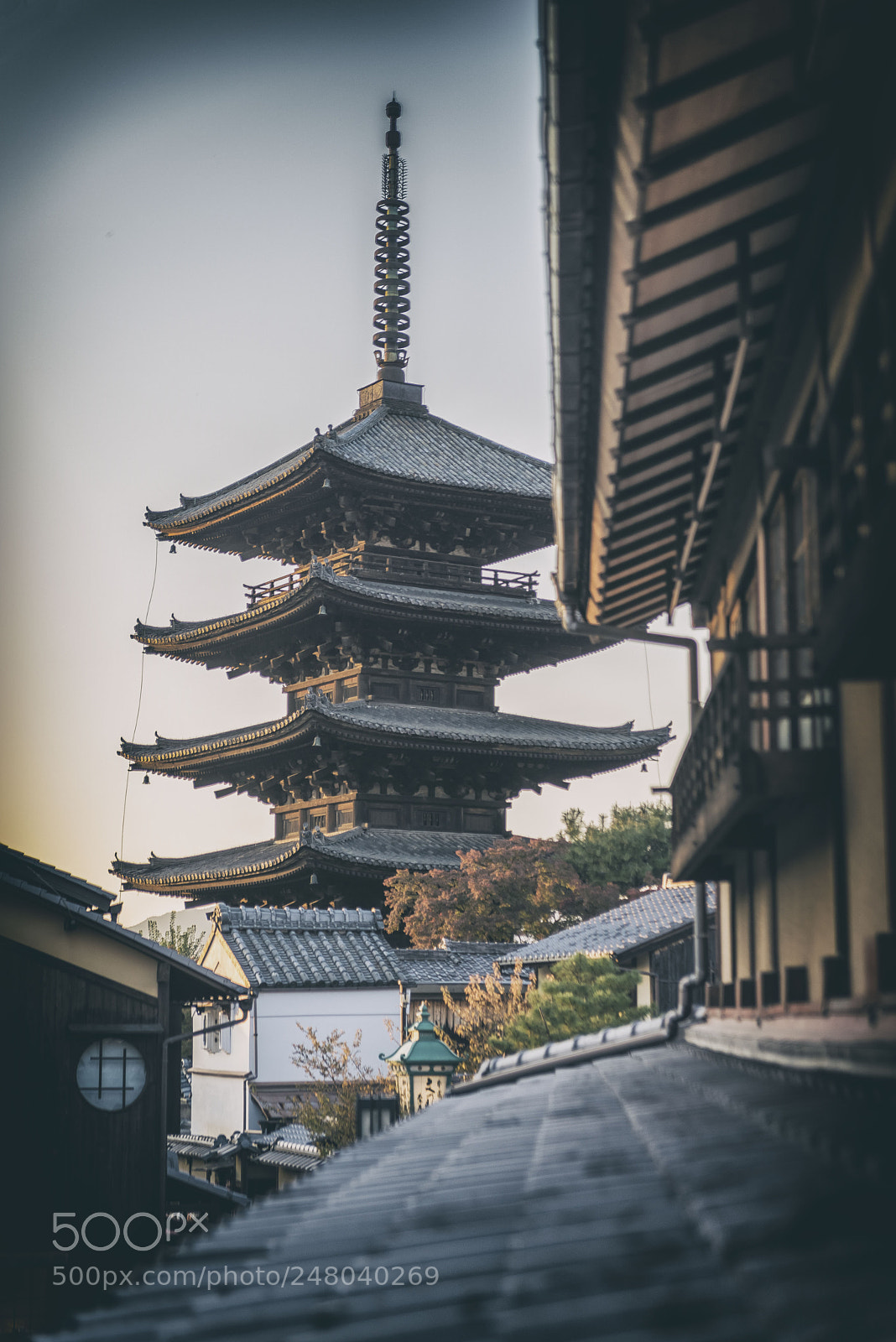 Nikon D610 sample photo. Yasaka pagoda photography