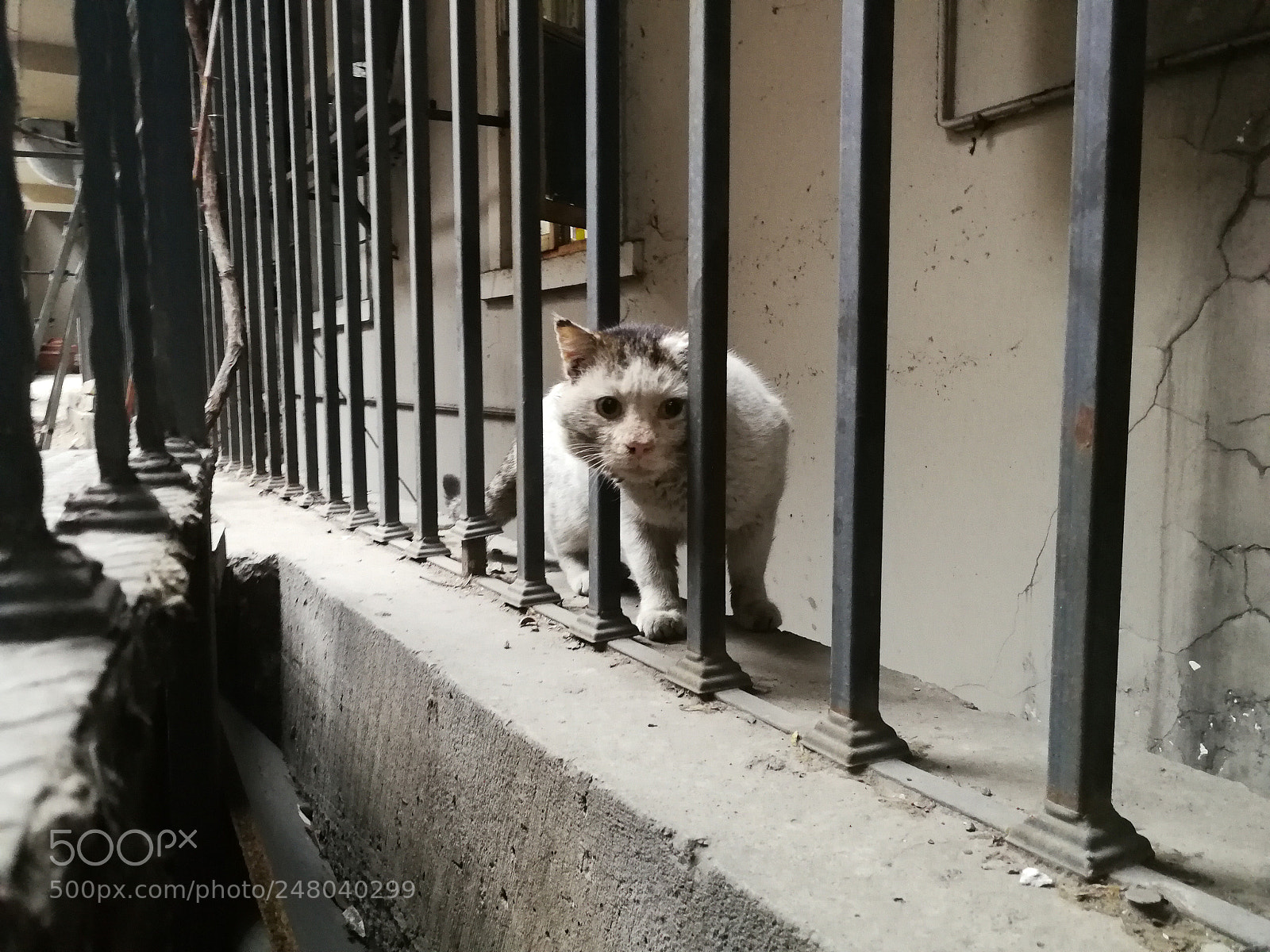 HUAWEI P10 sample photo. Untitled photography