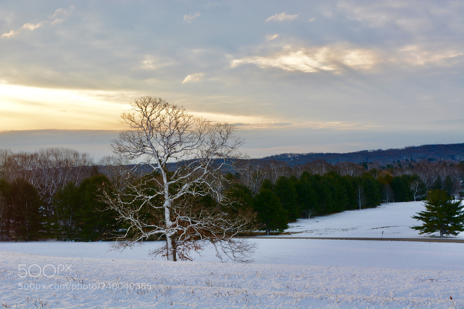 Nikon D7100 sample photo. Untitled photography