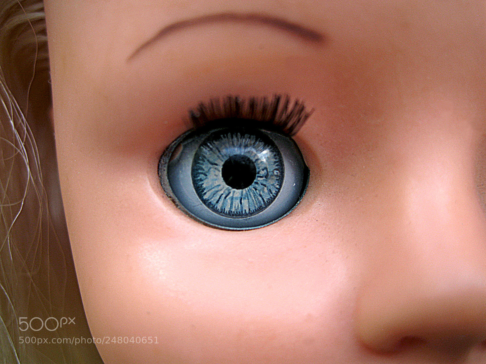 Canon DIGITAL IXUS 960 IS sample photo. I've got my eye photography