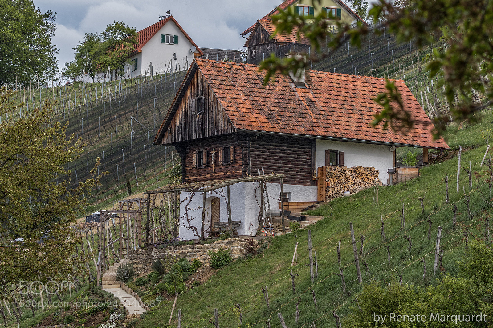 Canon EOS 7D Mark II sample photo. Am weinberg in der photography