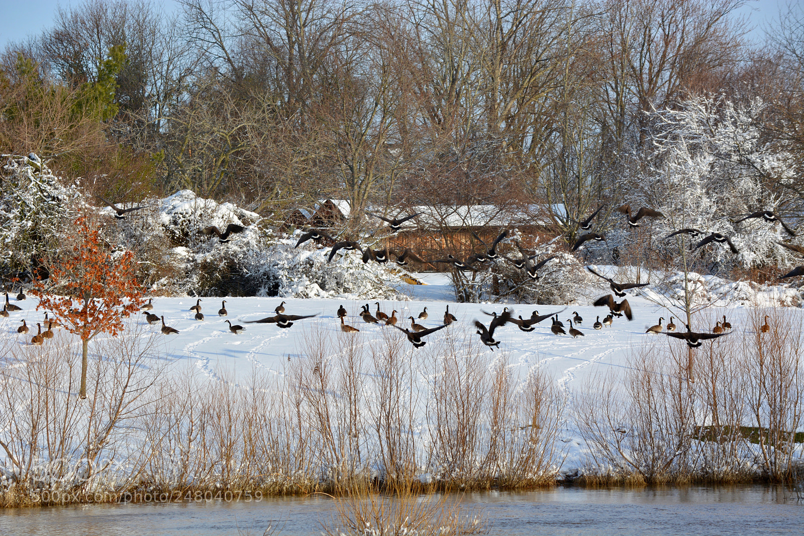 Nikon D7100 sample photo. Untitled photography