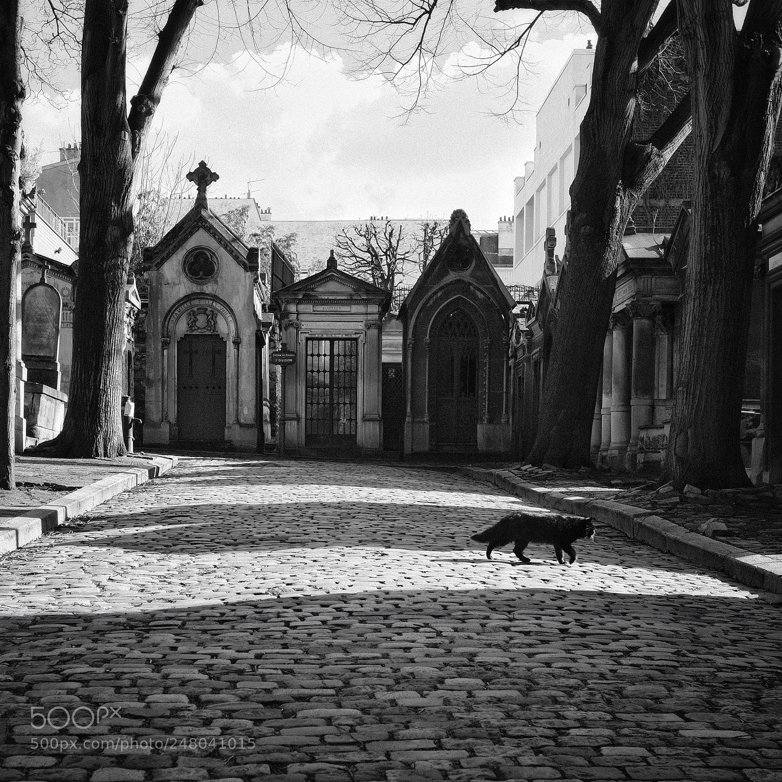 Fujifilm X-Pro2 sample photo. Friedhof in paris photography