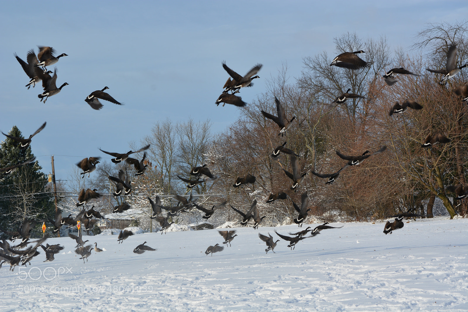 Nikon D7100 sample photo. Untitled photography