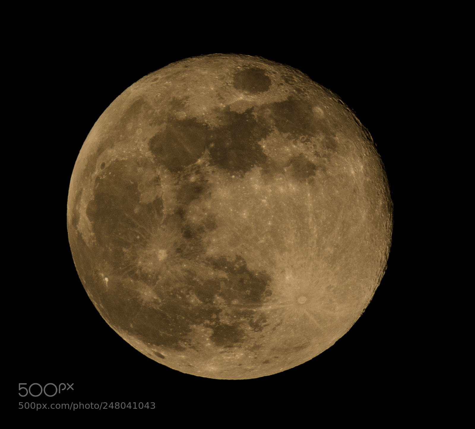 Nikon D7100 sample photo. Untitled photography