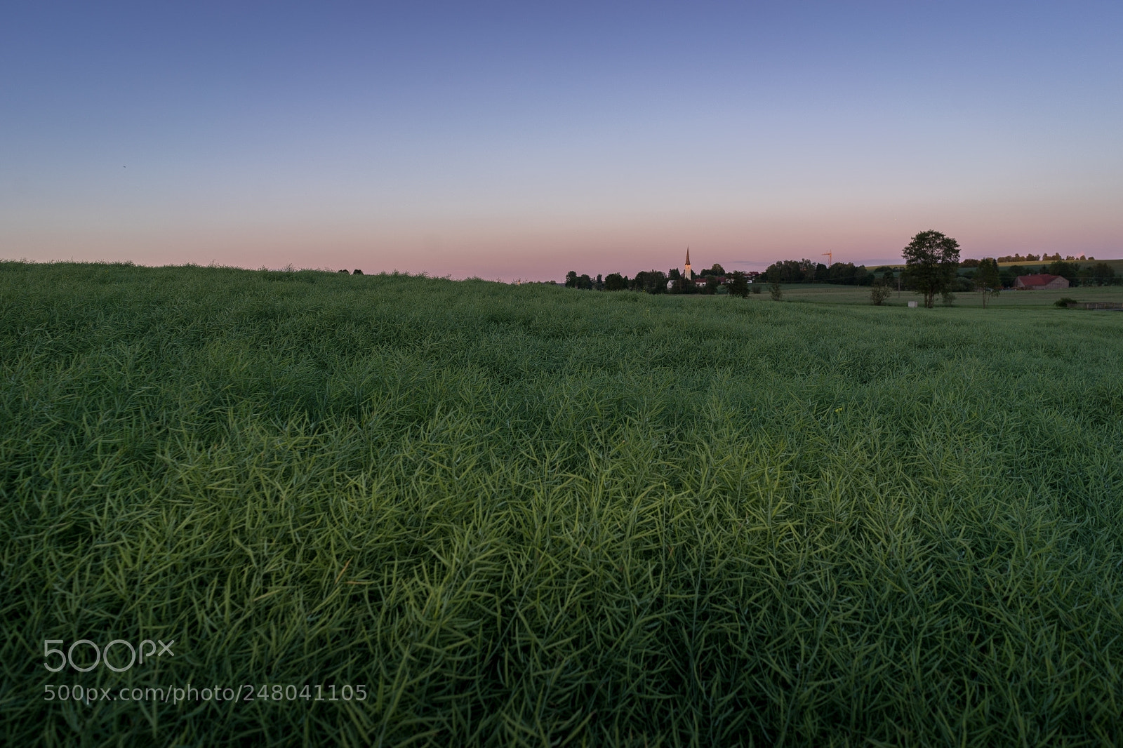 Sony a7 II sample photo. Vilsheim nachtspaziergang photography
