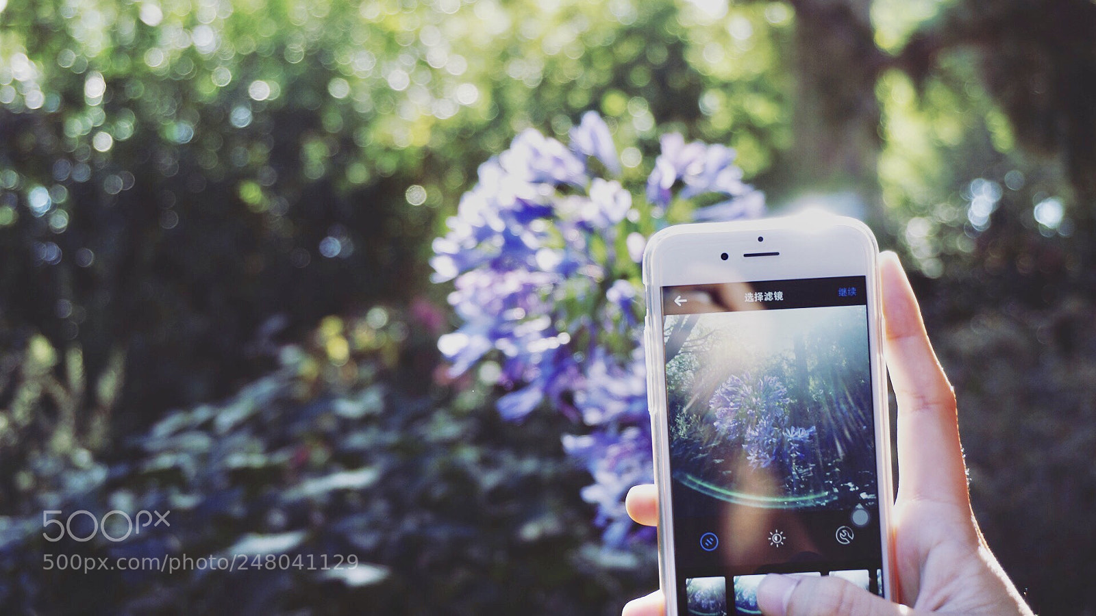 Sony Alpha NEX-5R sample photo. Untitled photography