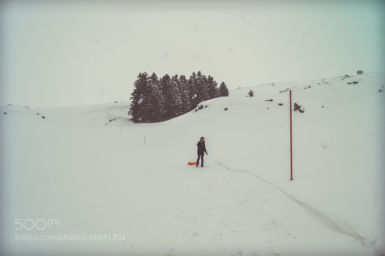 Nikon D3100 sample photo. Dust of snow photography