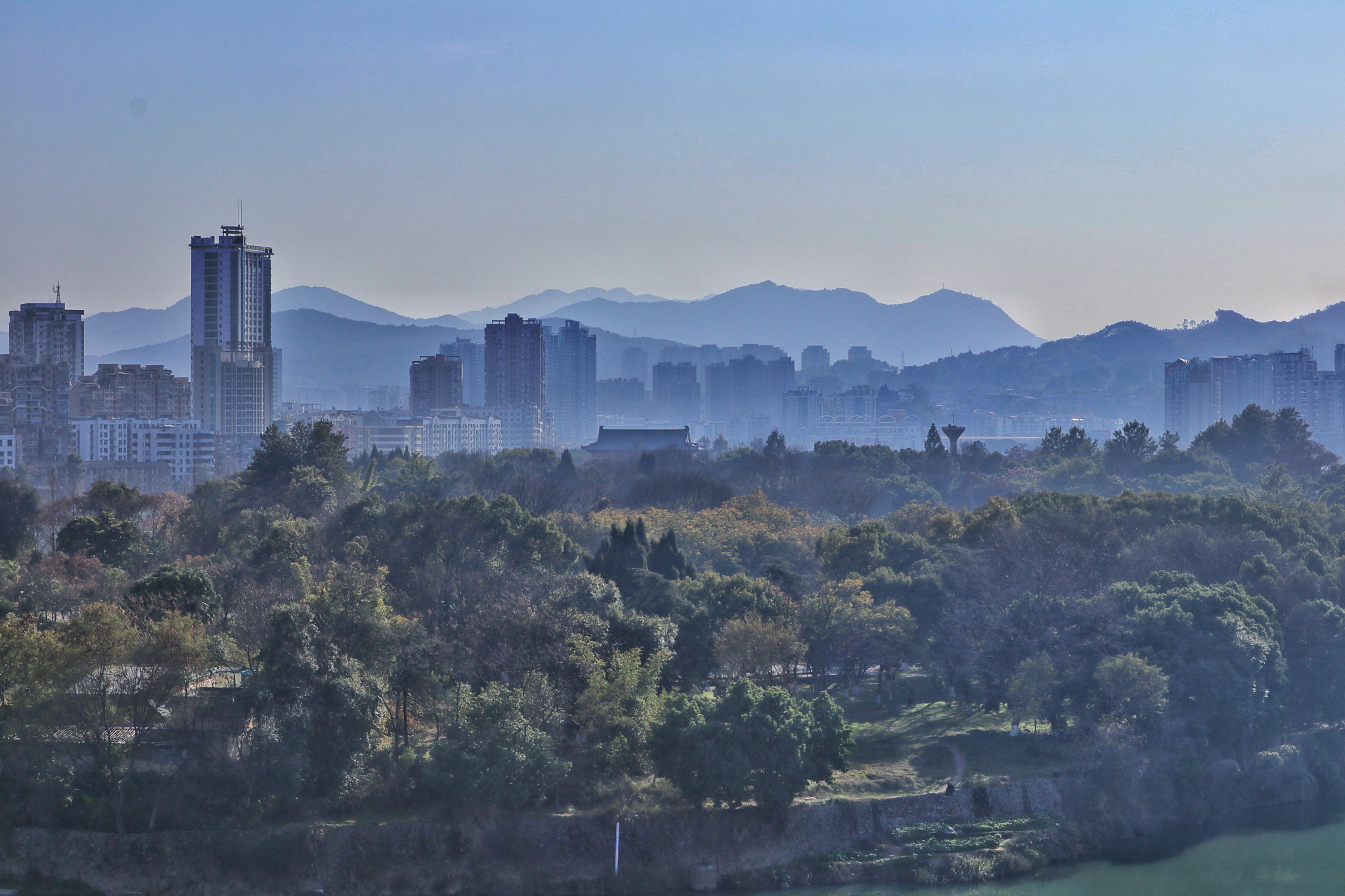 Canon EOS M100 sample photo. Tree and city photography