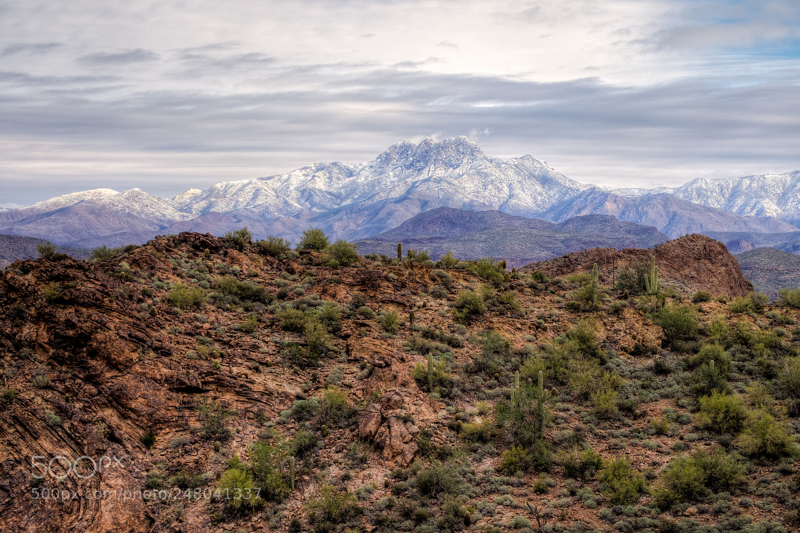 Fujifilm X-T10 sample photo. Arizona winter photography