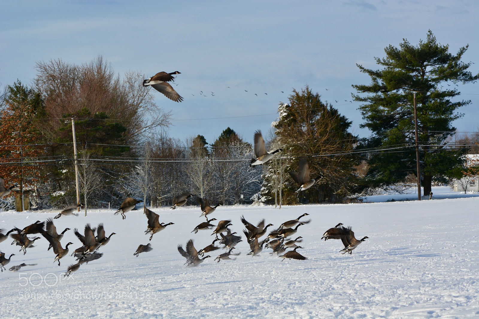 Nikon D7100 sample photo. Untitled photography