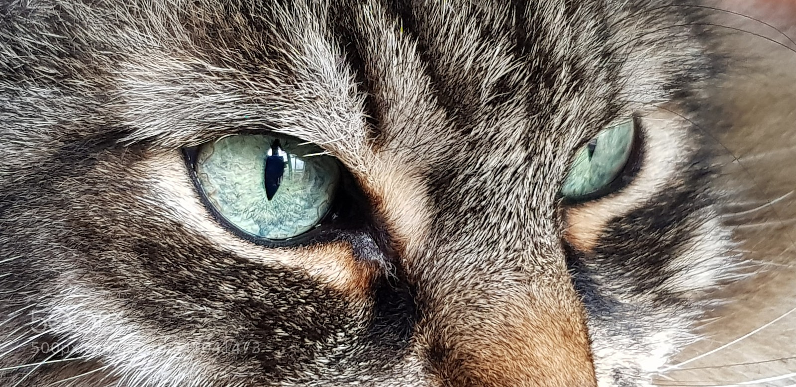 Samsung Galaxy S8 sample photo. Eyes photography