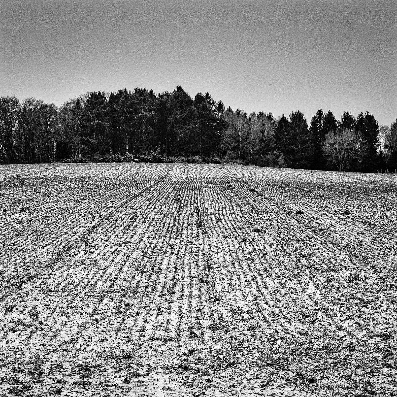 Nikon D810 sample photo. Lines in winter photography