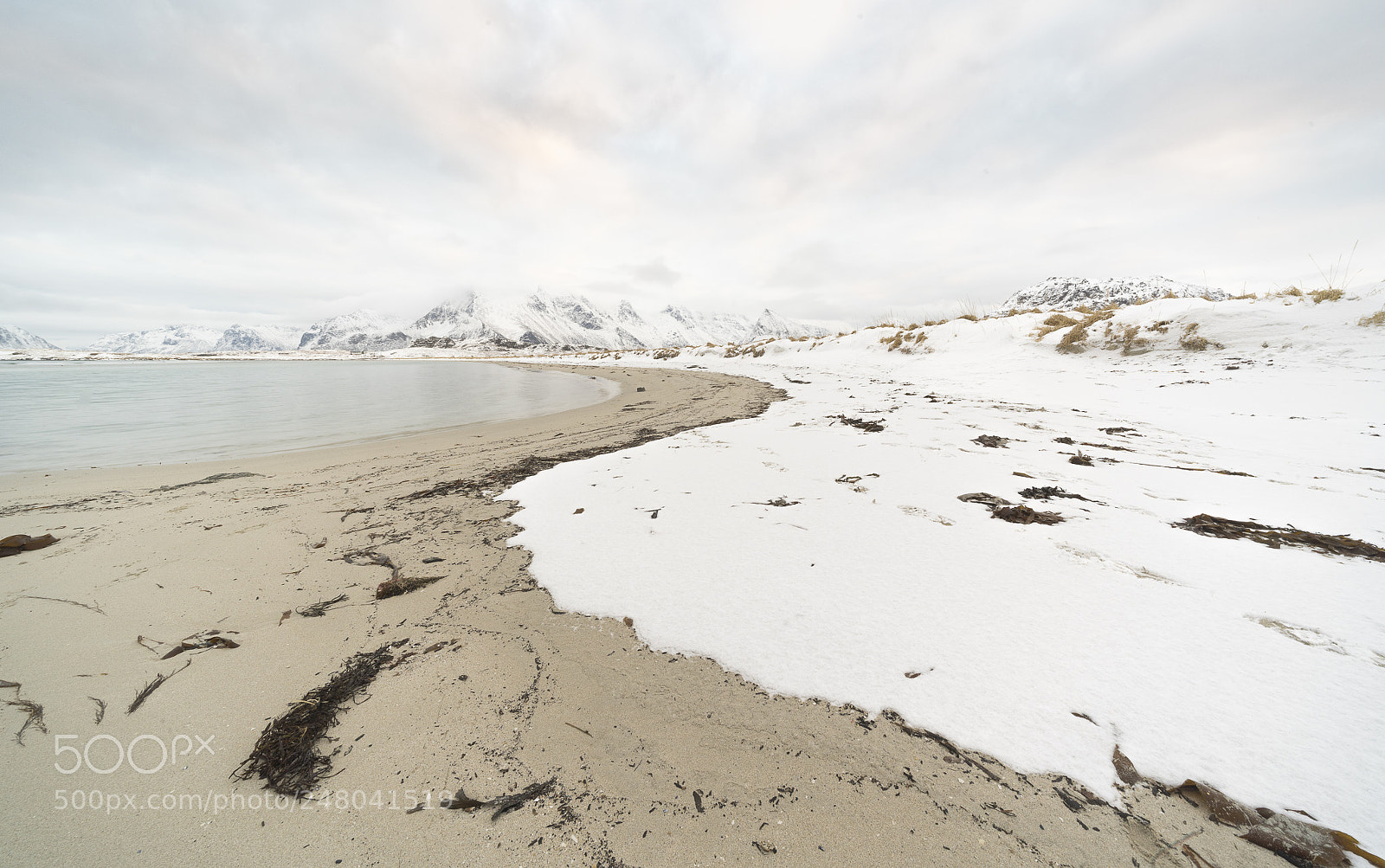 Sony a7R III sample photo. Beach at lofoten photography