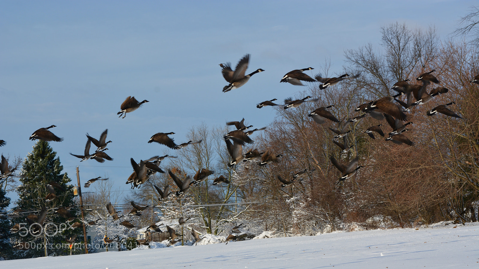 Nikon D7100 sample photo. Untitled photography