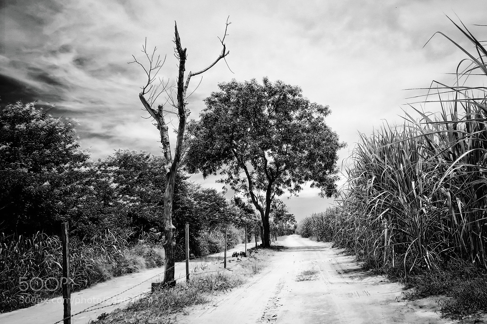Canon PowerShot G7 X sample photo. Trail photography