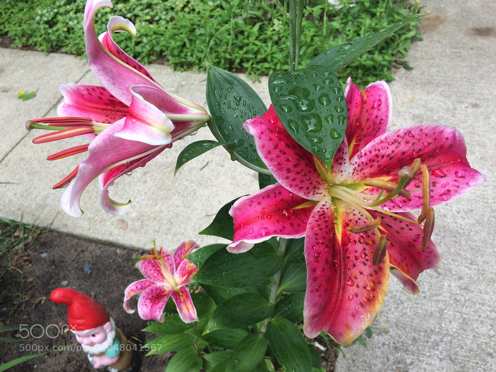 Apple iPhone 5s sample photo. Untitled photography