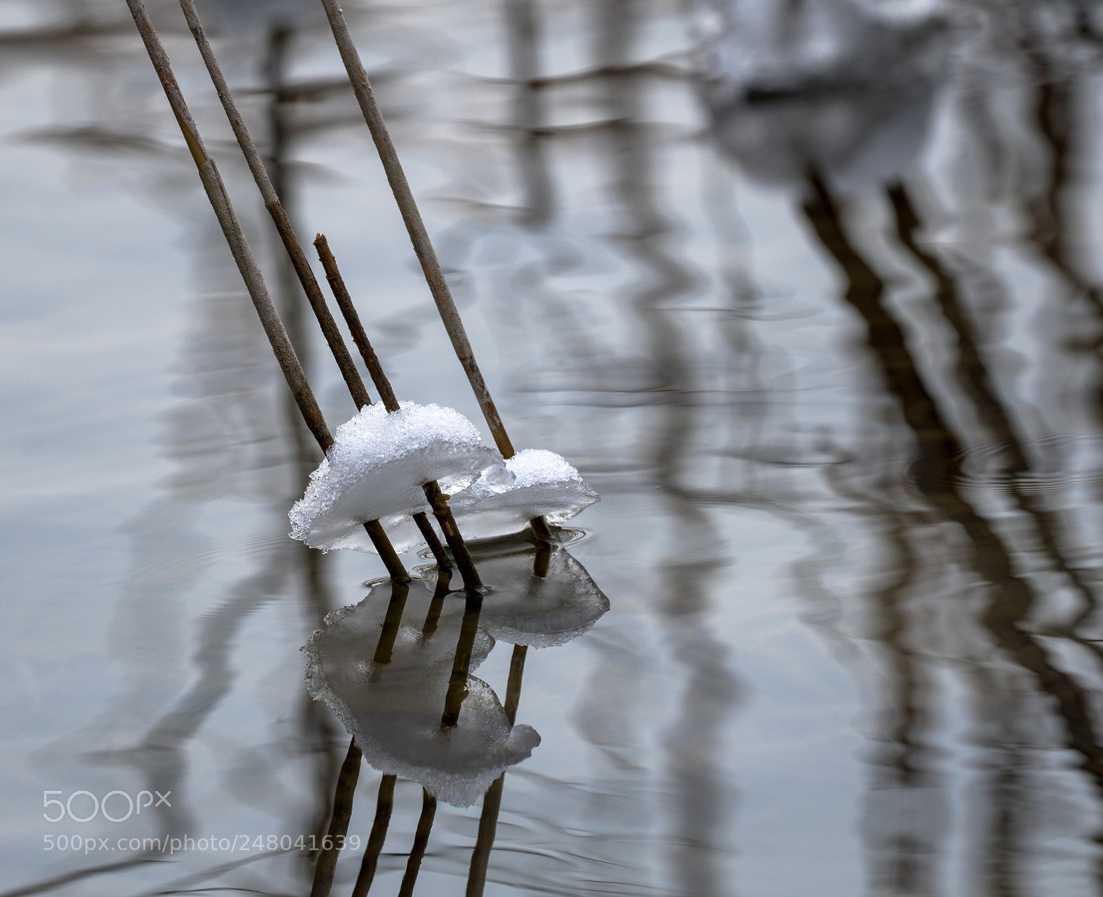 Sony a6500 sample photo. Ice on water photography