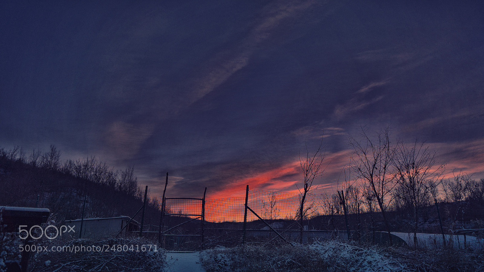 Sony Alpha NEX-5R sample photo. Untitled photography