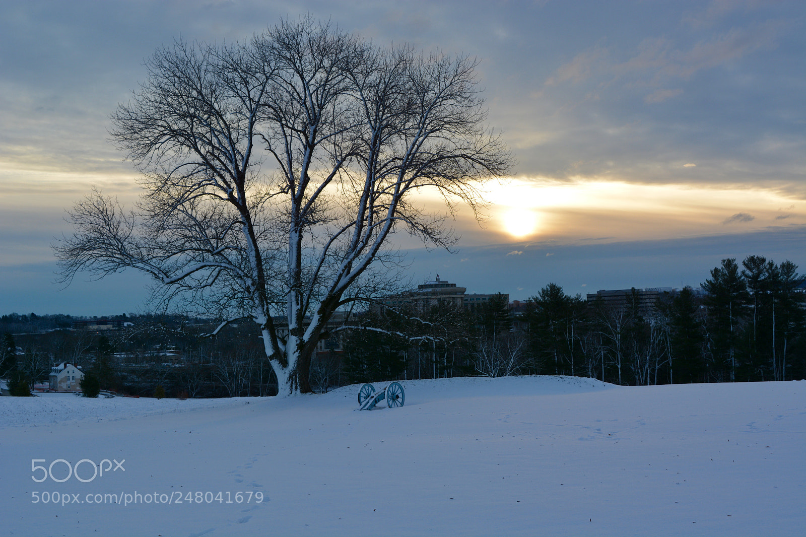 Nikon D7100 sample photo. Untitled photography