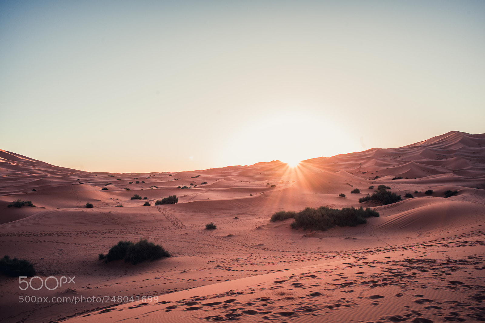Nikon D800 sample photo. Sahara sunrise photography