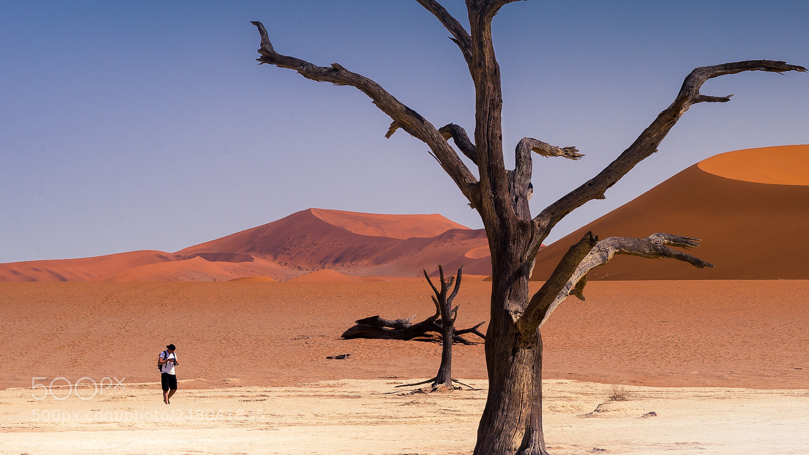 Nikon D600 sample photo. Sossusvlei traveller photography