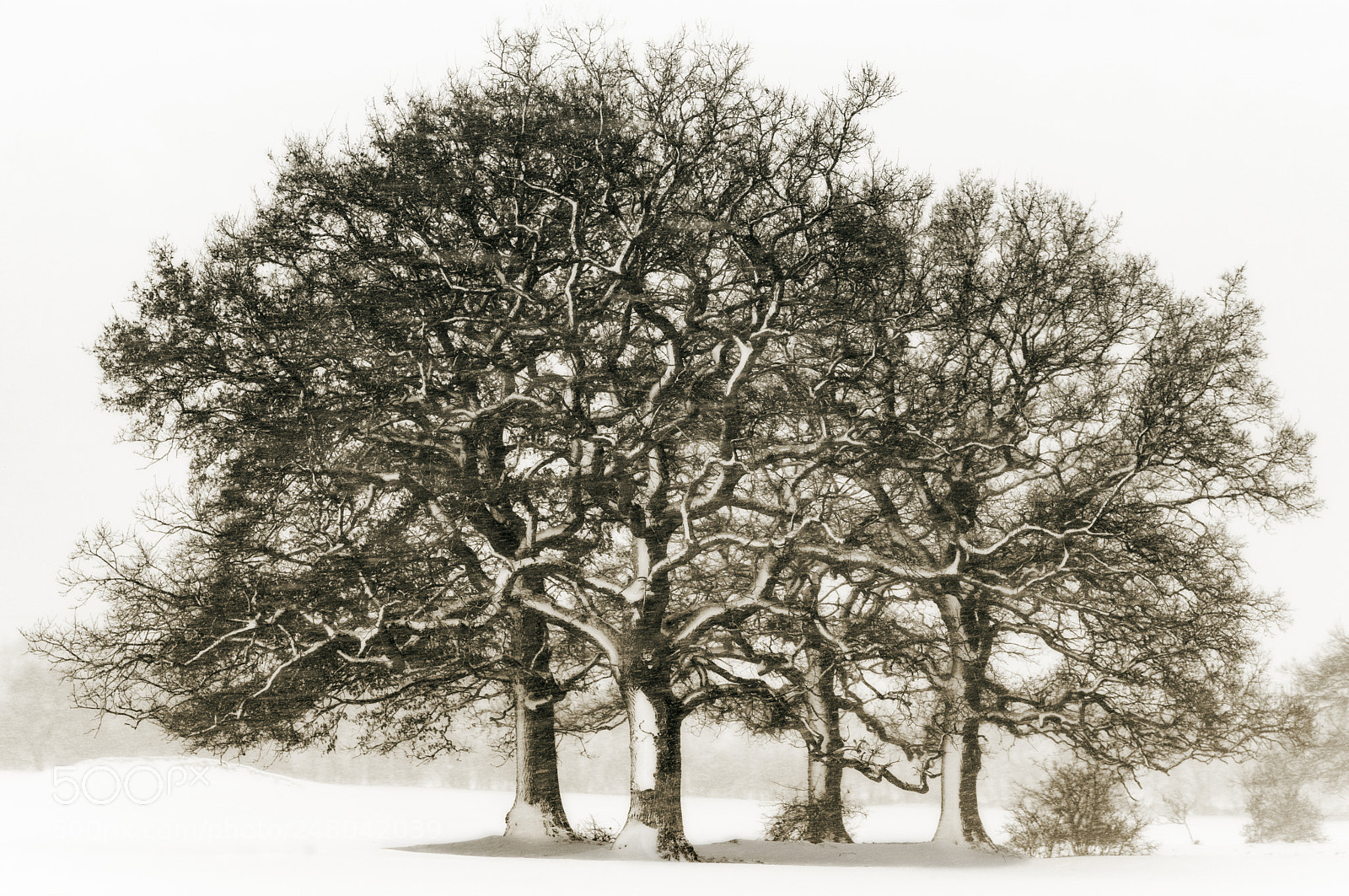 Nikon D7100 sample photo. Side snow photography