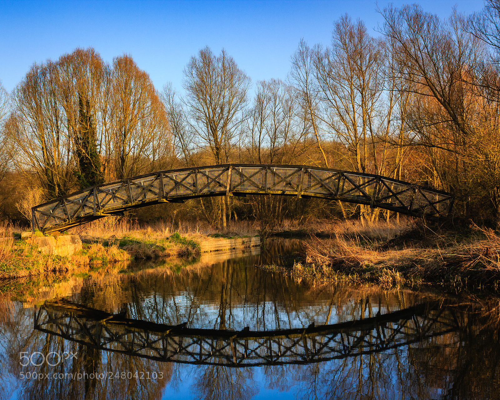 Canon EOS 550D (EOS Rebel T2i / EOS Kiss X4) sample photo. A bridge to nowhere photography