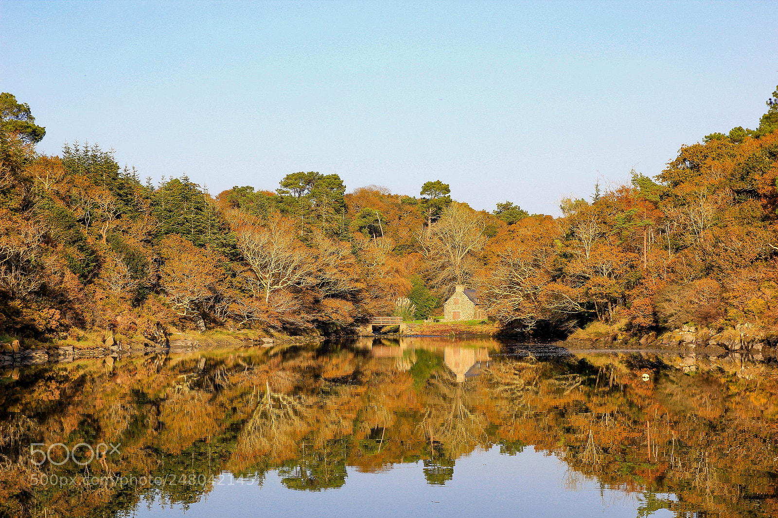 Canon EOS 550D (EOS Rebel T2i / EOS Kiss X4) sample photo. Perfect reflection photography